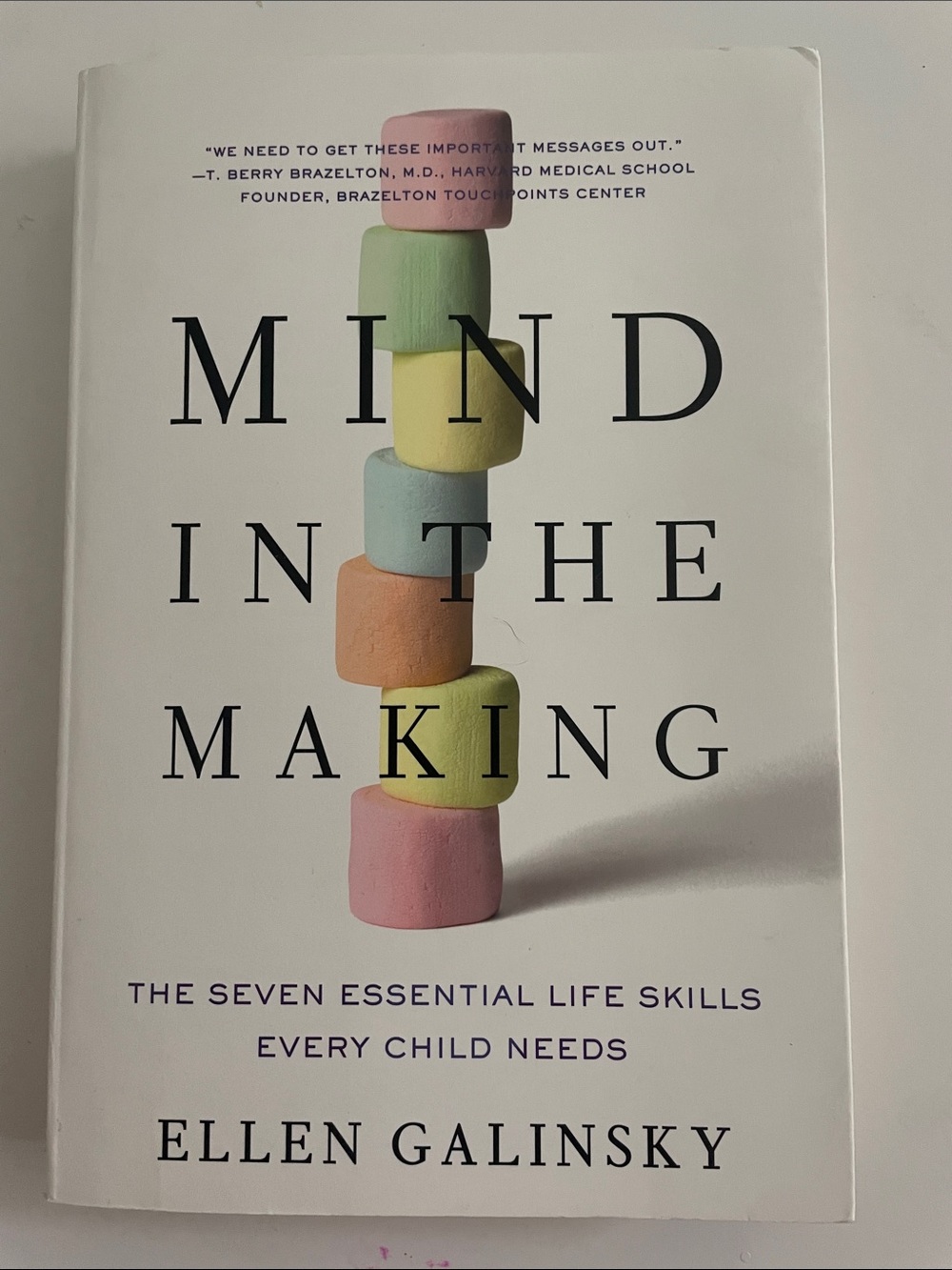 Mind in the Making - The Seven Essential Life Skills Every Child Needs